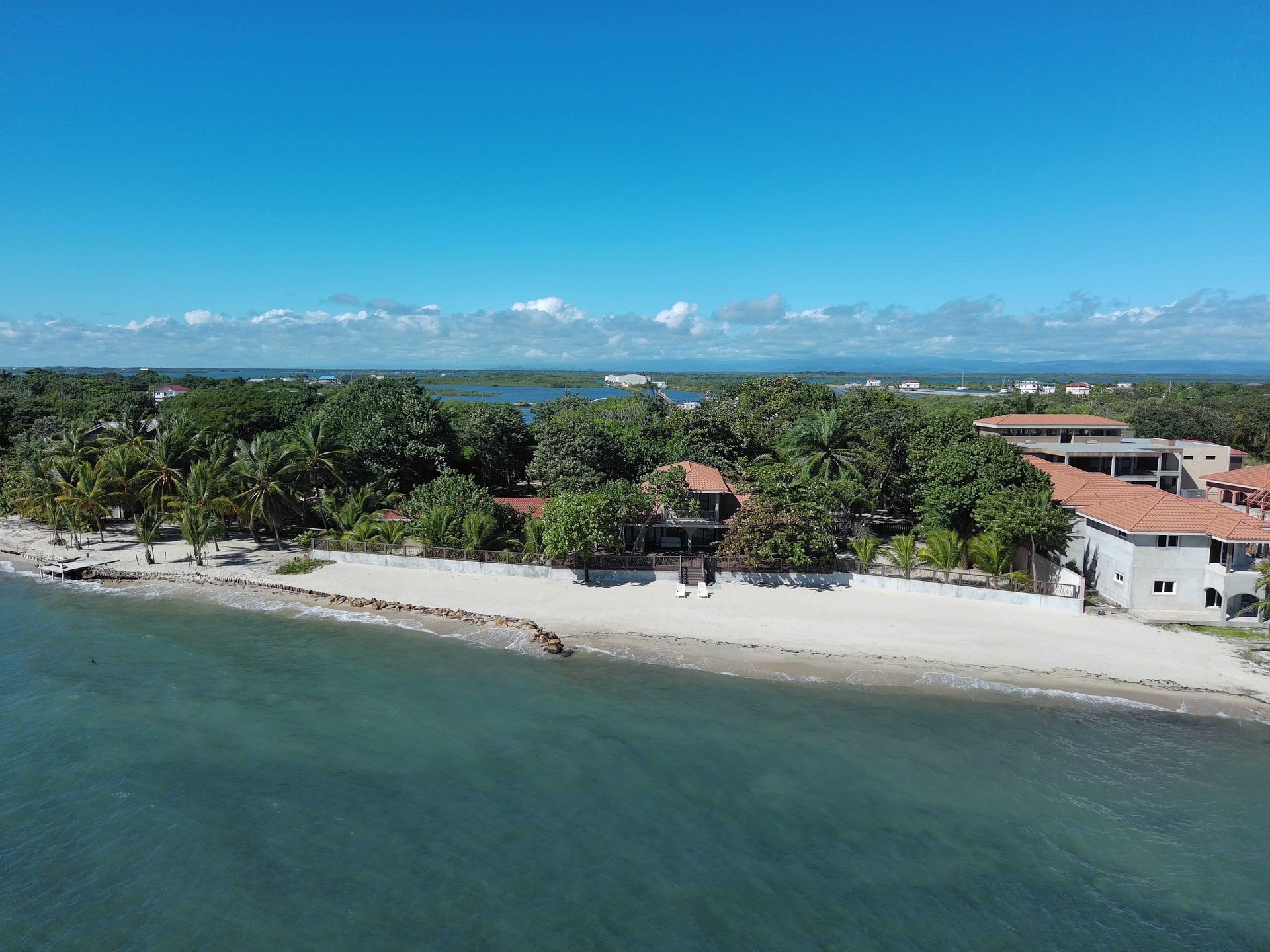 Aerial view of a beach with palm trees and buildings, blue sky, and ocean waves.